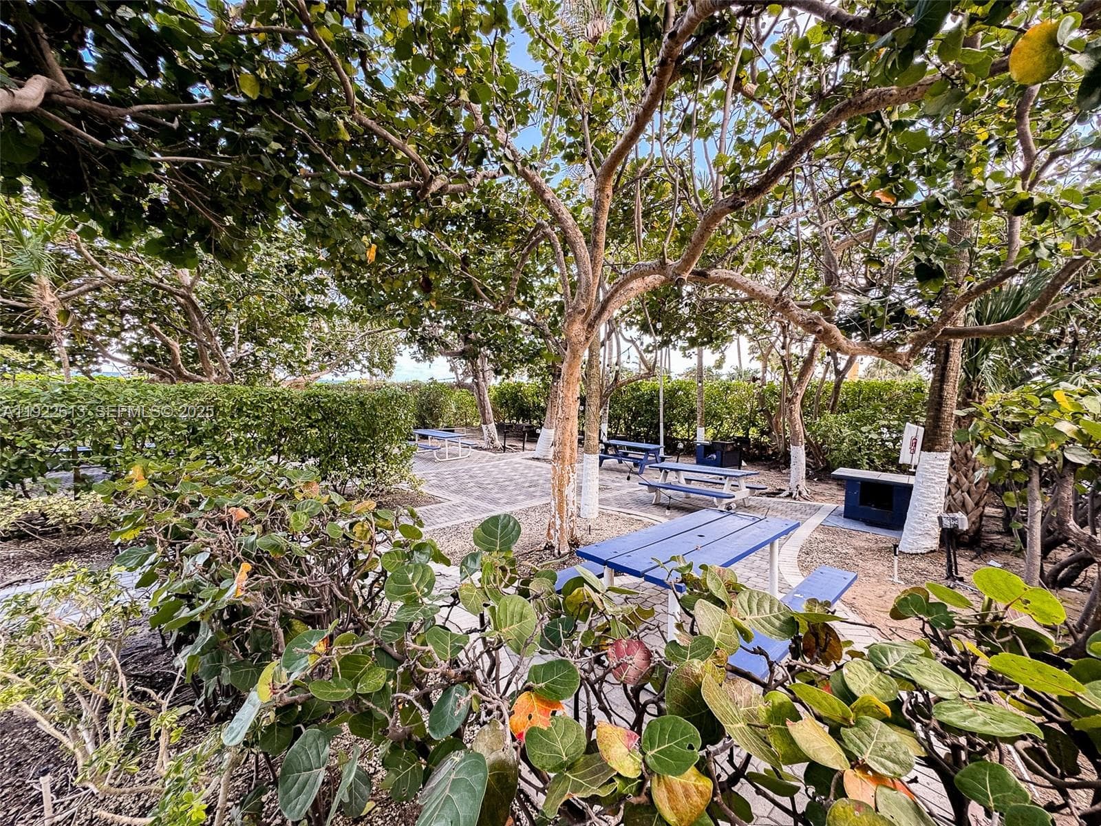 8877 Collins Ave # 809, Surfside FL 33154 — 44