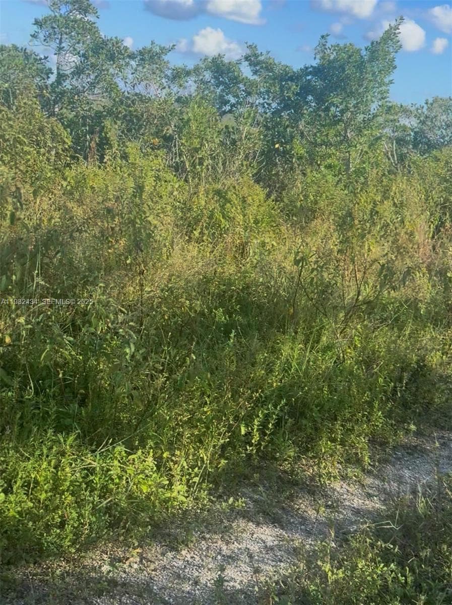 UNINCORPORATED, UNINCORPORATED,, Homestead FL 33035 — 6