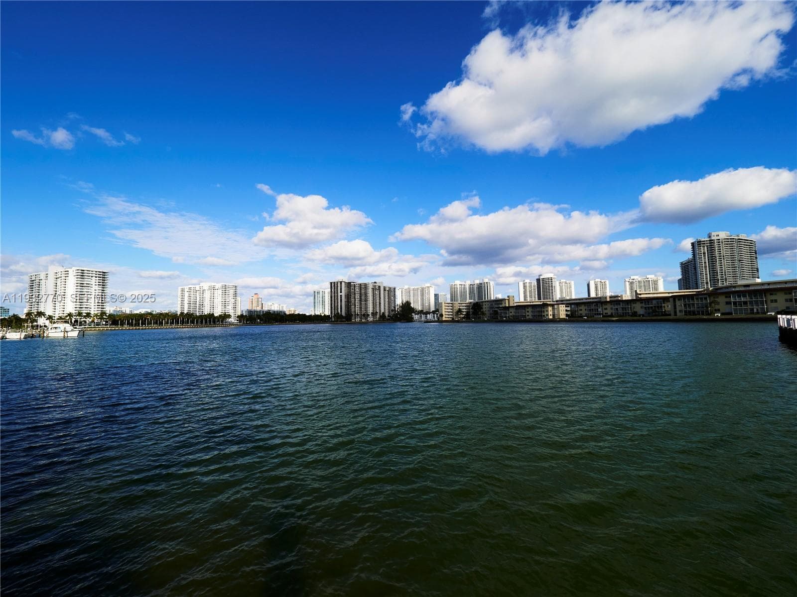 2861 Leonard Dr # F412, Aventura FL 33160 — 44