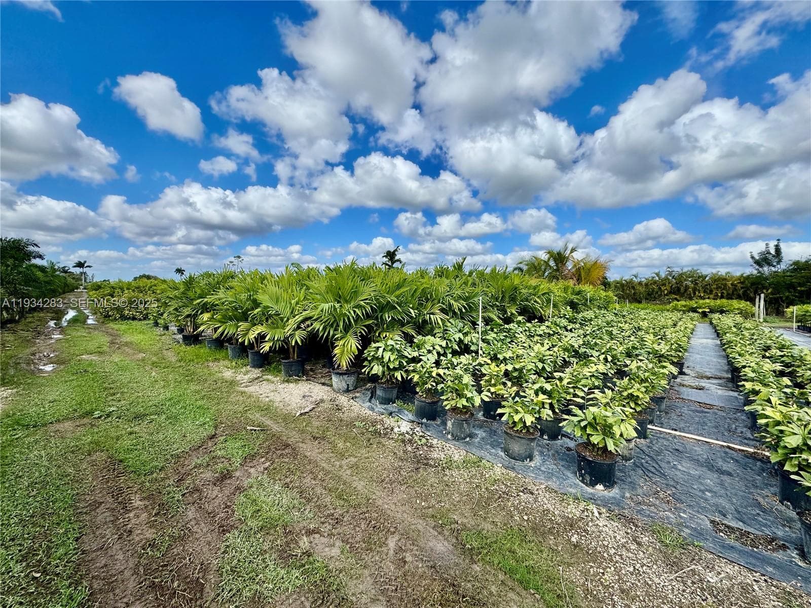 32800 SW 202nd Ave, Homestead FL 33034 — 6
