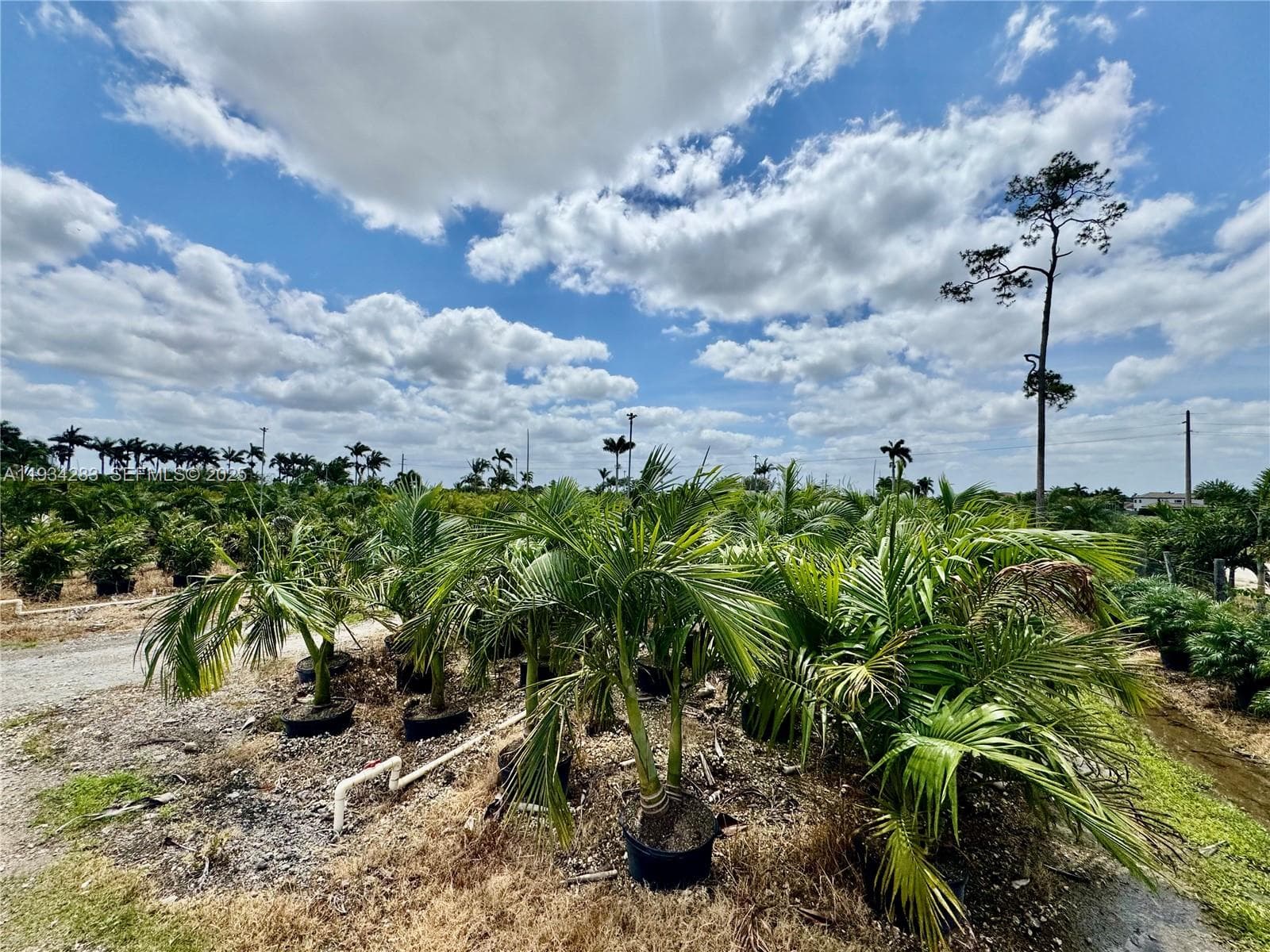 32800 SW 202nd Ave, Homestead FL 33034 — 22