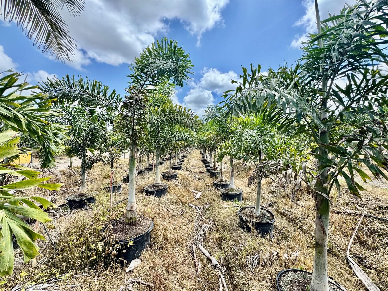 32800 SW 202nd Ave, Homestead FL 33034 — 25
