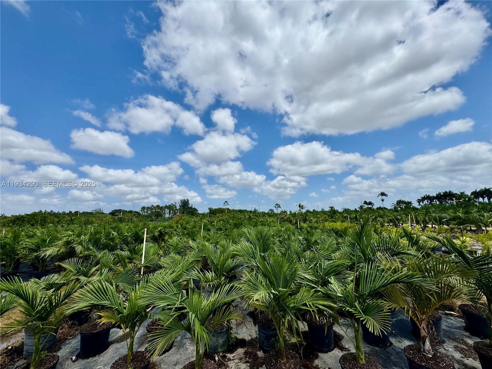 32800 SW 202nd Ave, Homestead FL 33034 — 18