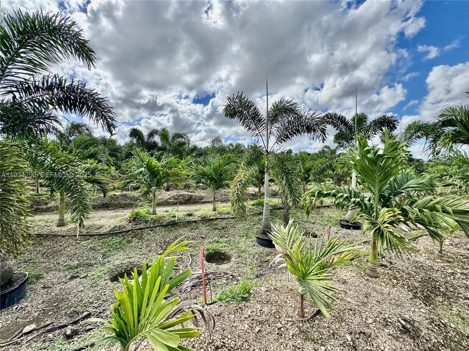 32800 SW 202nd Ave, Homestead FL 33034 — 8