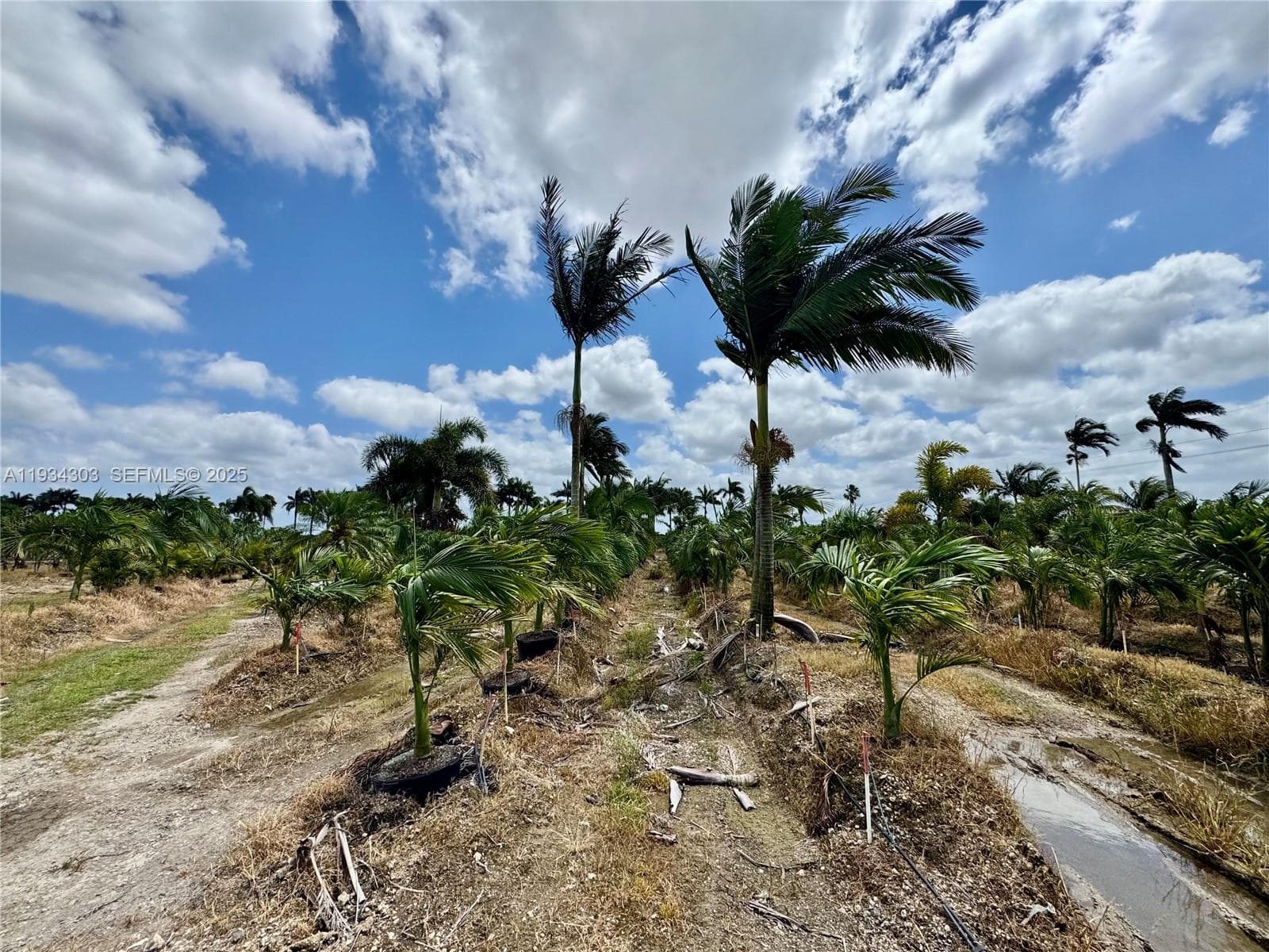 32800 SW 202nd Ave, Homestead FL 33034 — 17