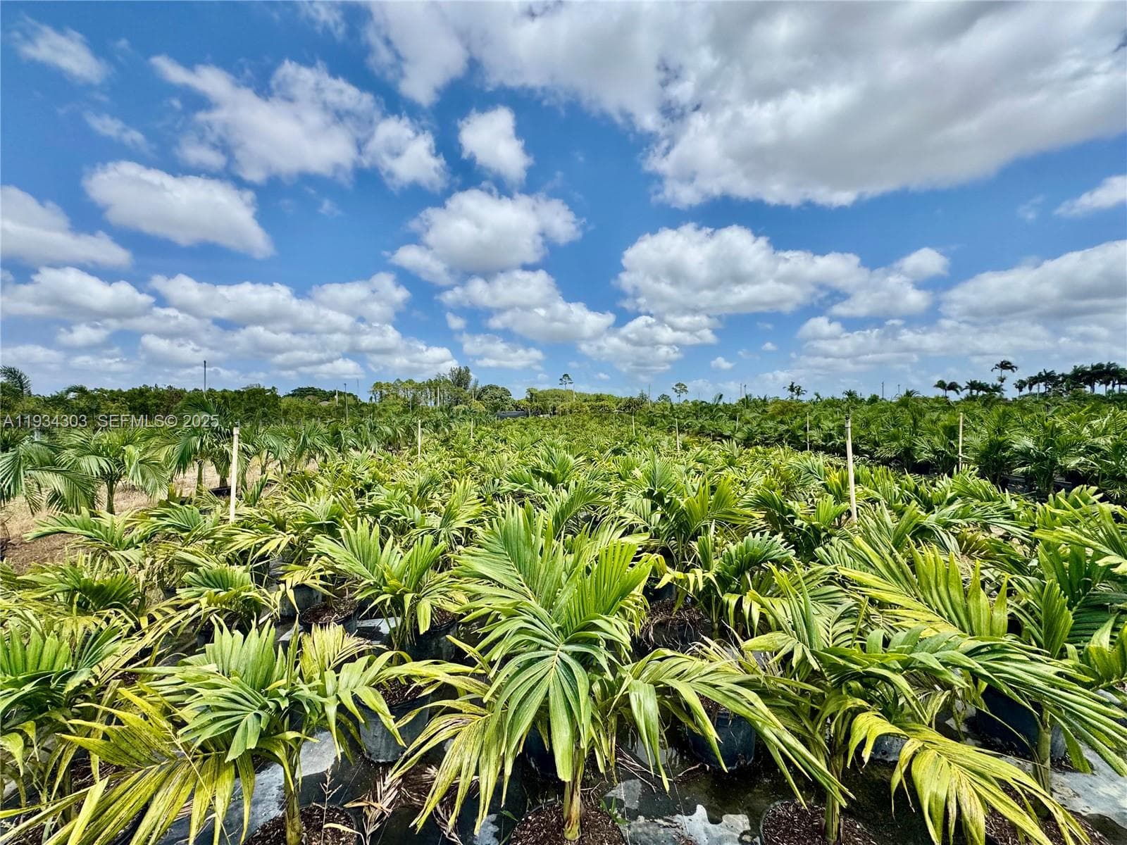32800 SW 202nd Ave, Homestead FL 33034 — 20