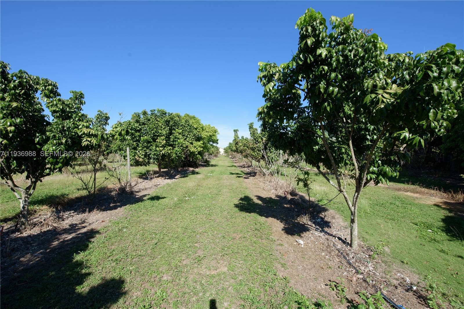 21295 SW 376th St, Homestead FL 33034 — 34