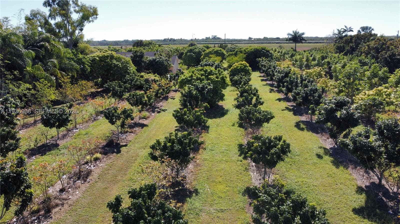 21295 SW 376th St, Homestead FL 33034 — 45