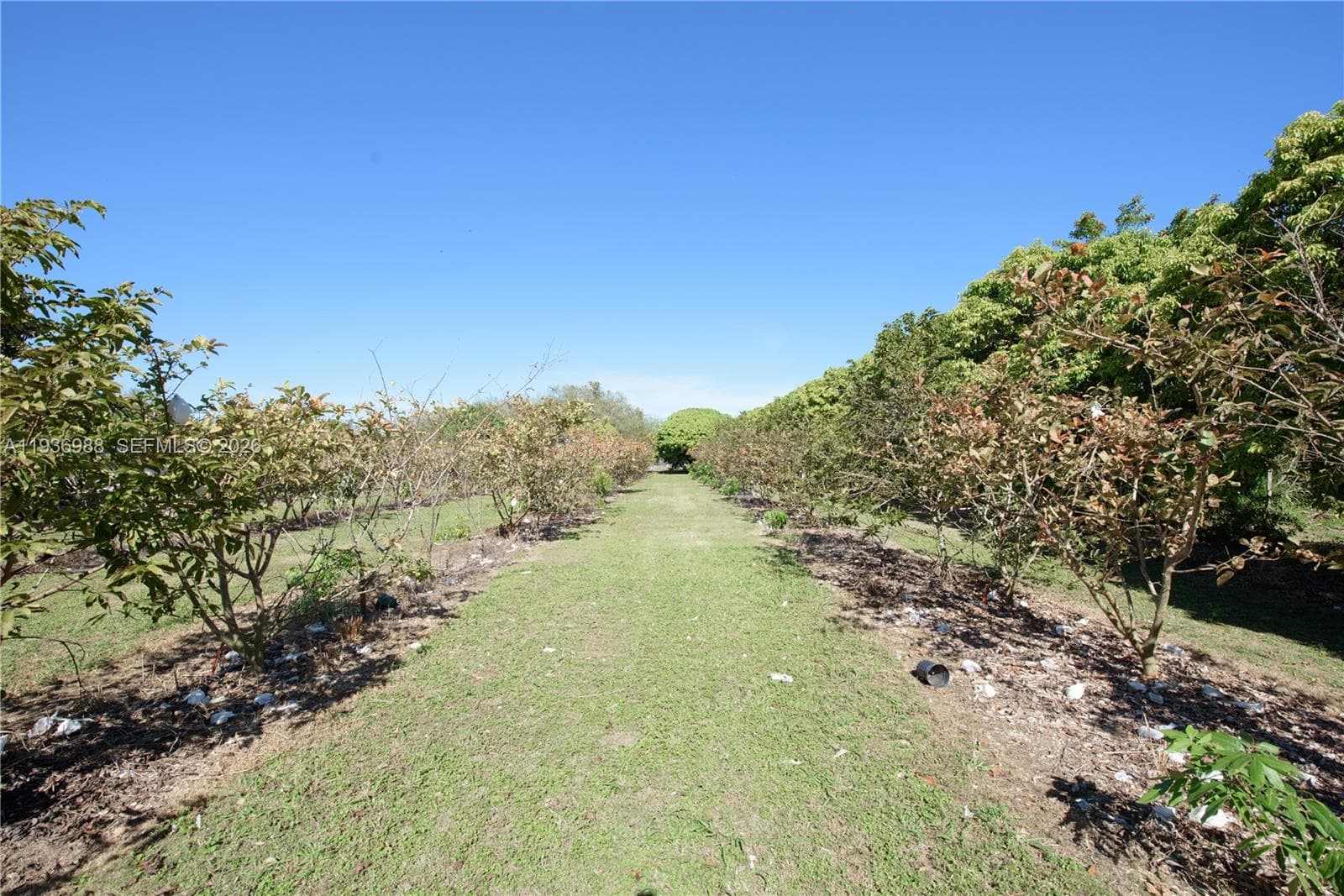 21295 SW 376th St, Homestead FL 33034 — 29