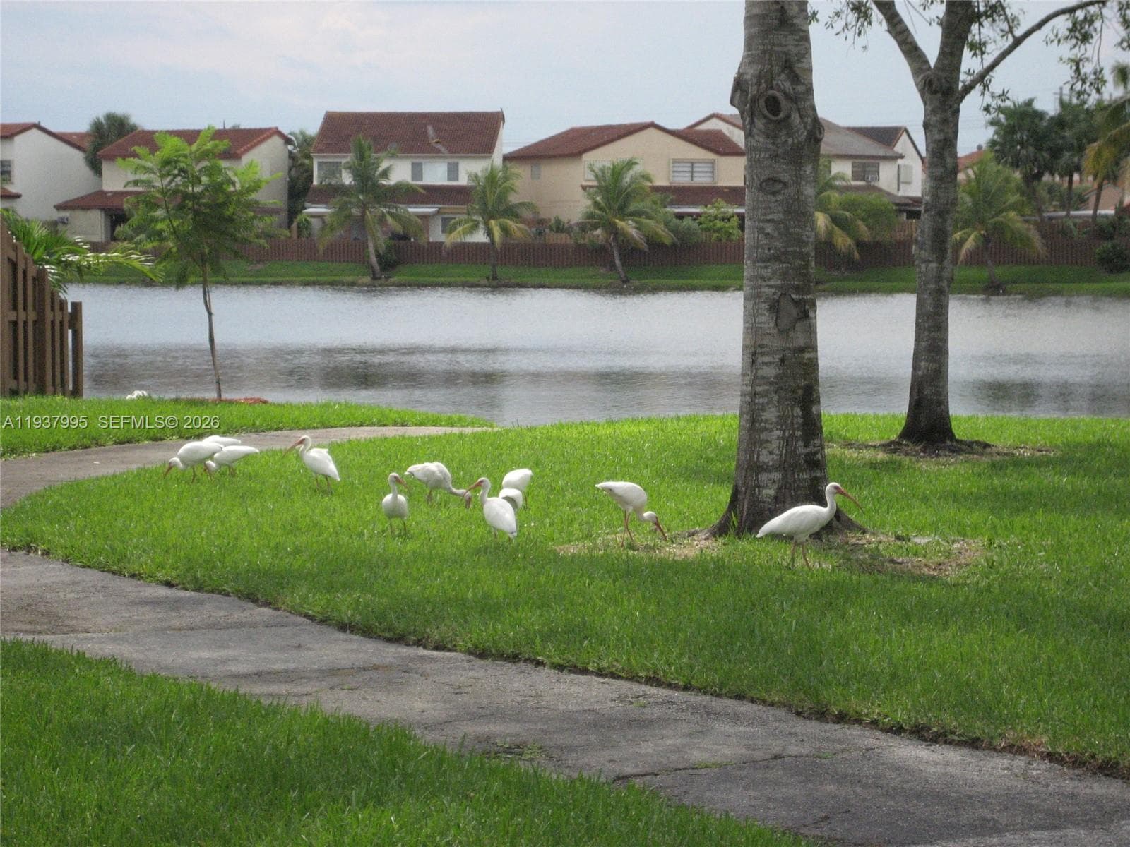 13224 SW 10 TE, Miami FL 33184 — 16