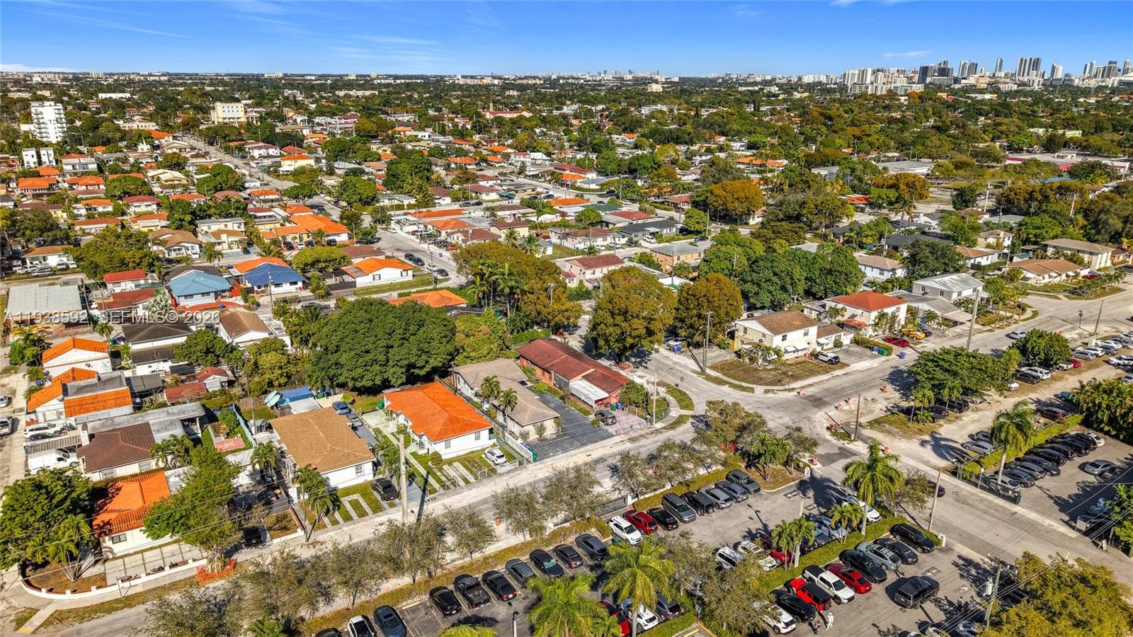 Loquat Farm, Miami, FL — 6