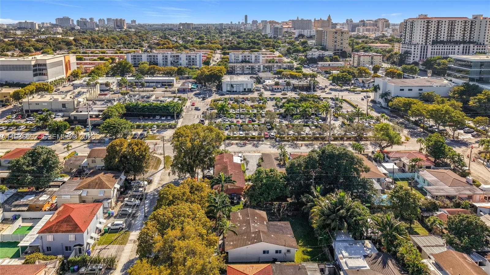Loquat Farm, Miami, FL — 14