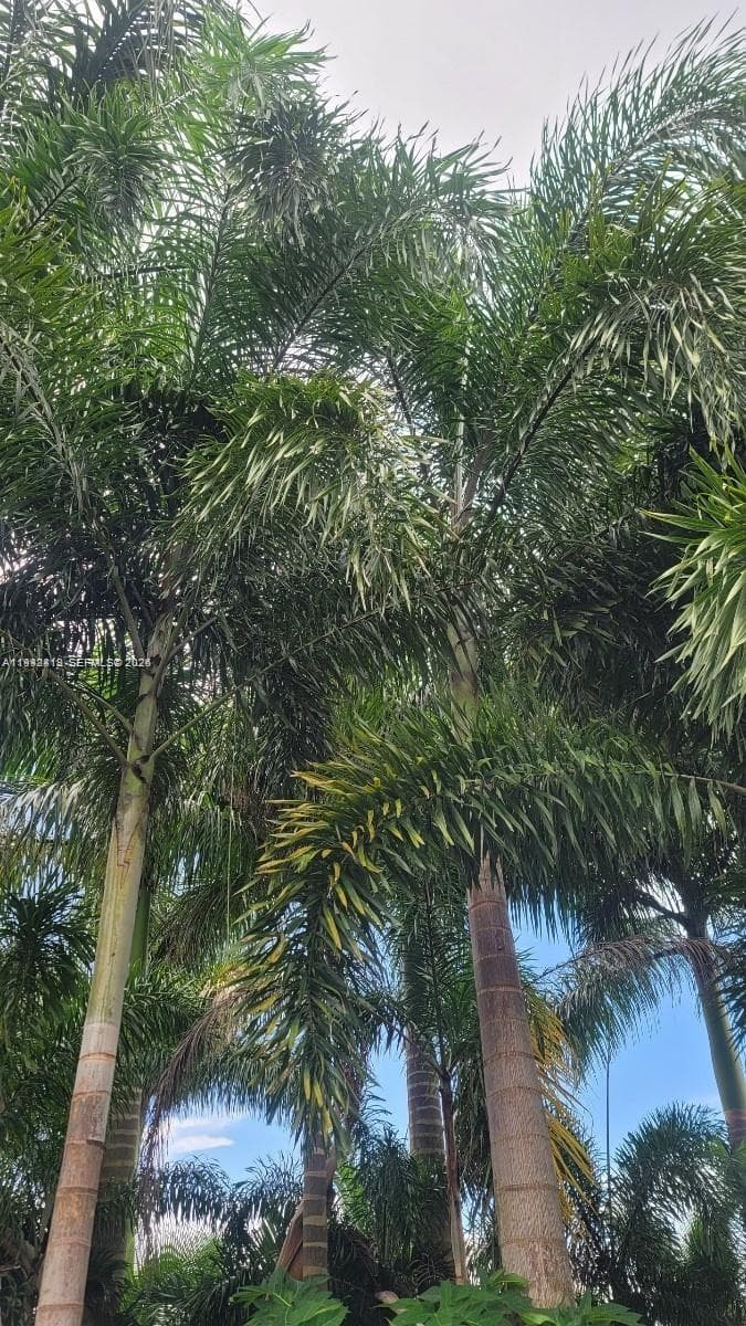 Miami, FL — 10