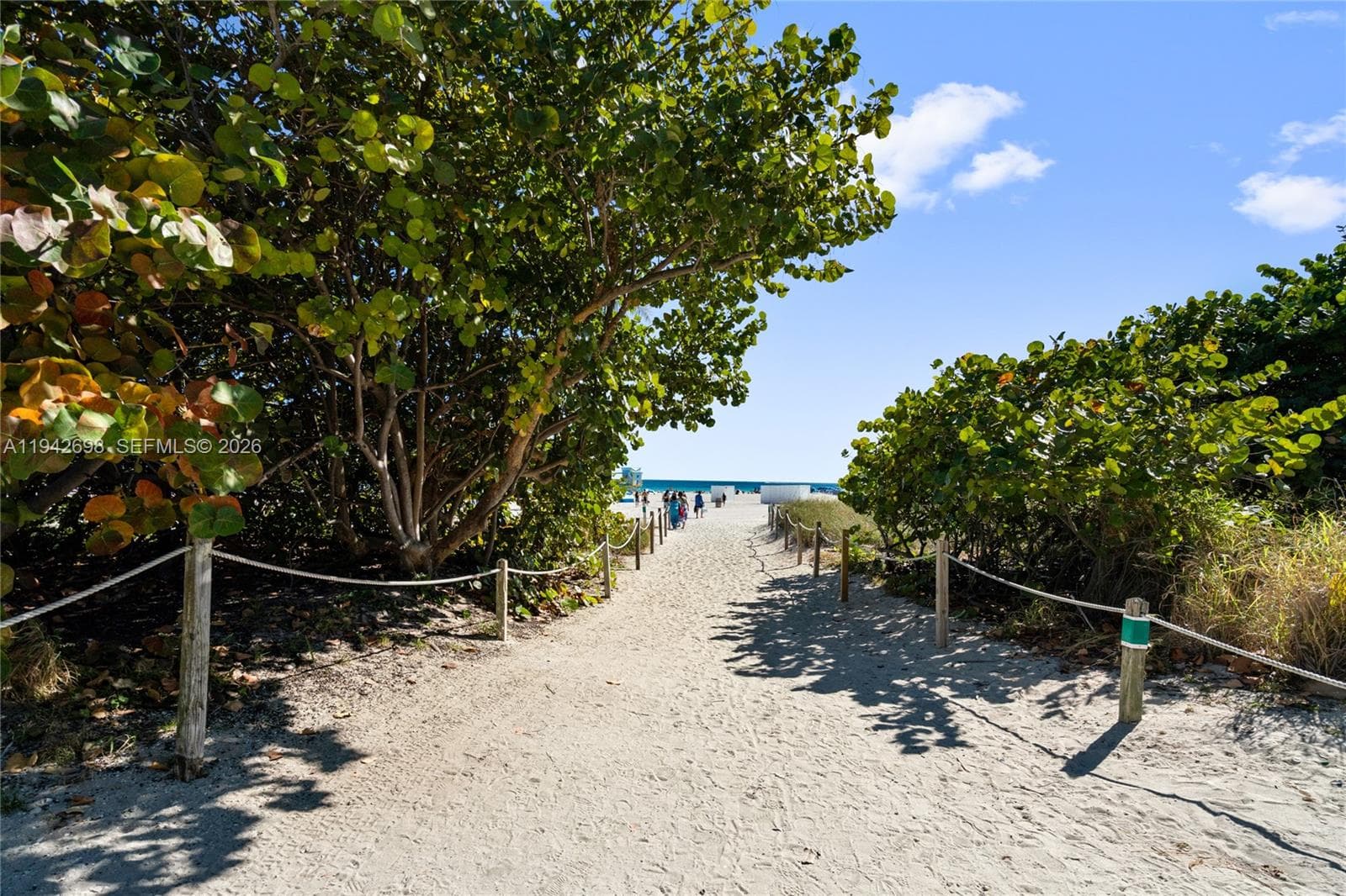 1455 Ocean Dr # 1009, Miami Beach FL 33139 — 25