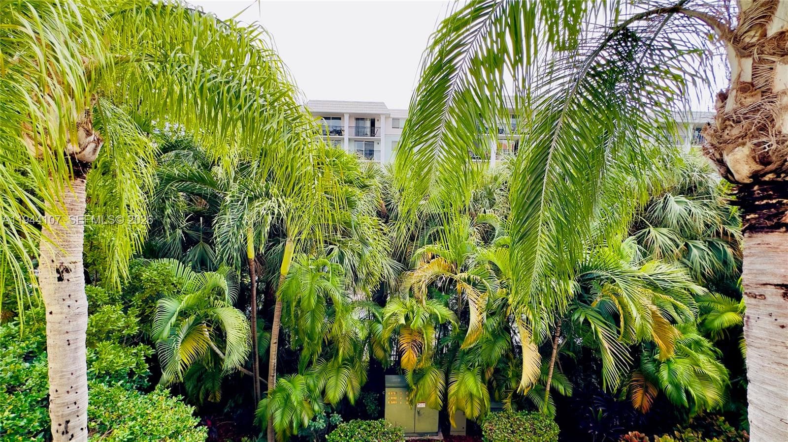 17125 N Bay Rd # 3311, Sunny Isles Beach FL 33160 — 34