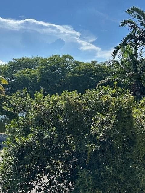 4265 NW South Tamiami Canal Drive # 315, Miami FL 33126 — 16