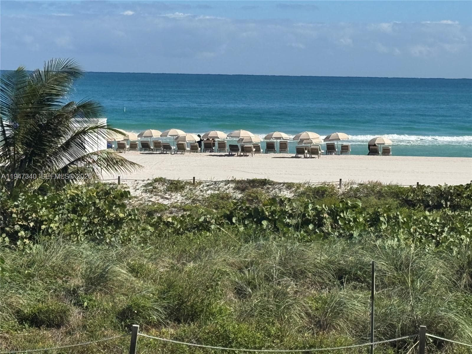 5757 Collins Ave # 504, Miami Beach FL 33140 — 30