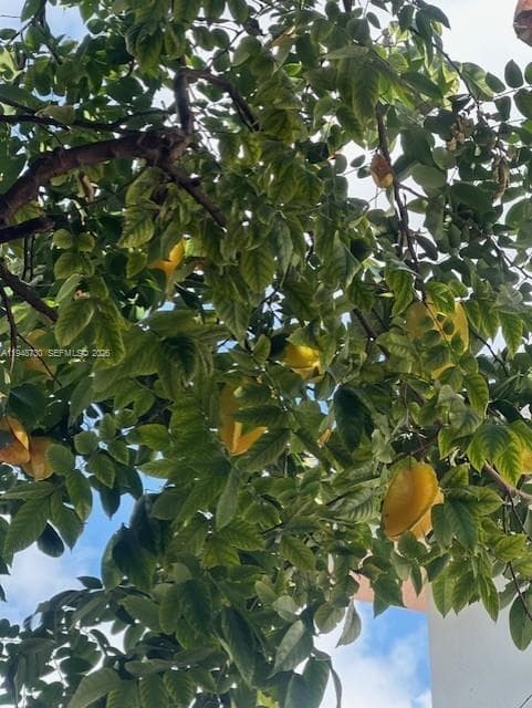 5502 SW 162nd Pl, Miami FL 33185 — 22