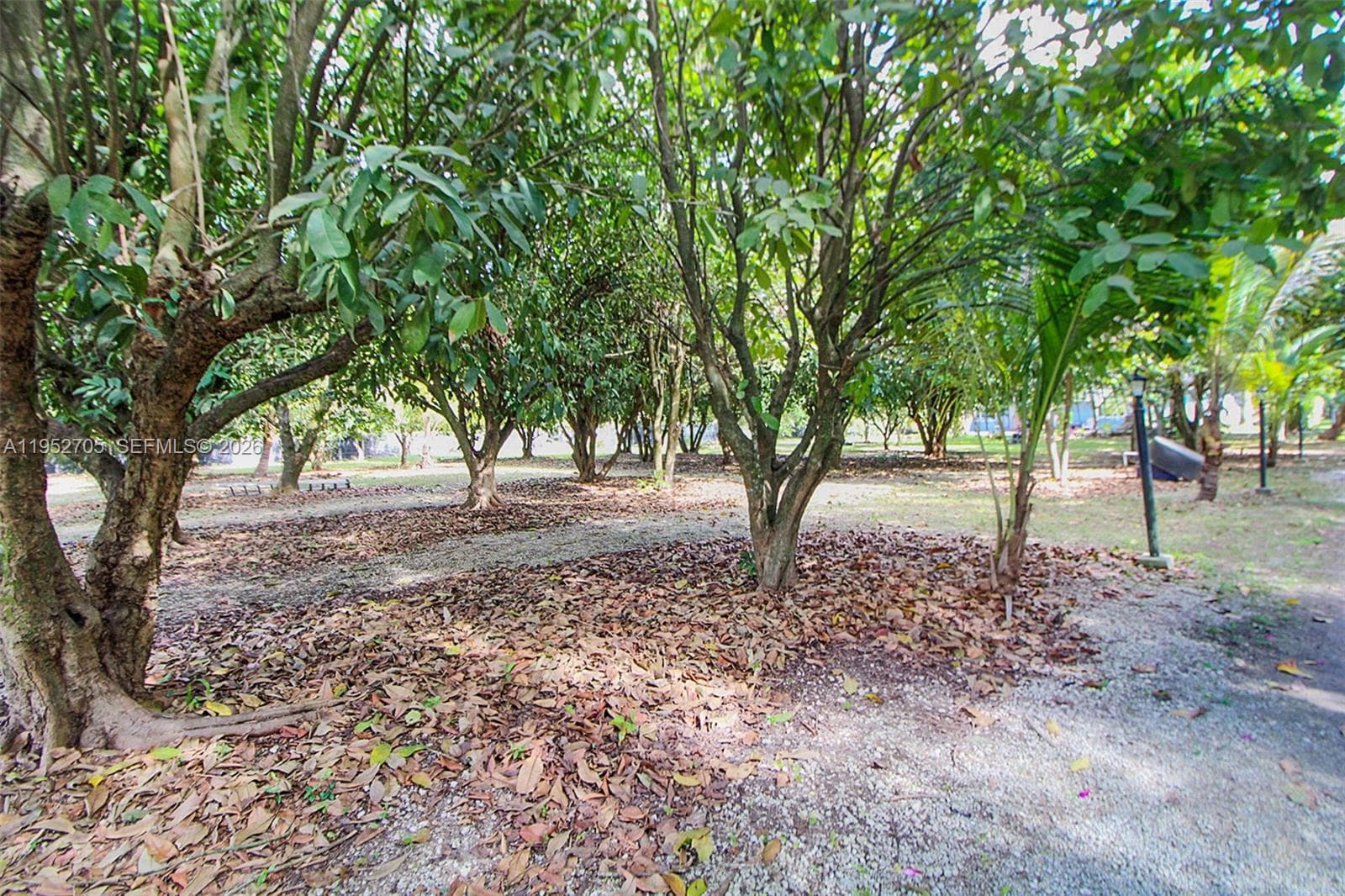 37225 SW 214th Ave, Homestead FL 33034 — 11