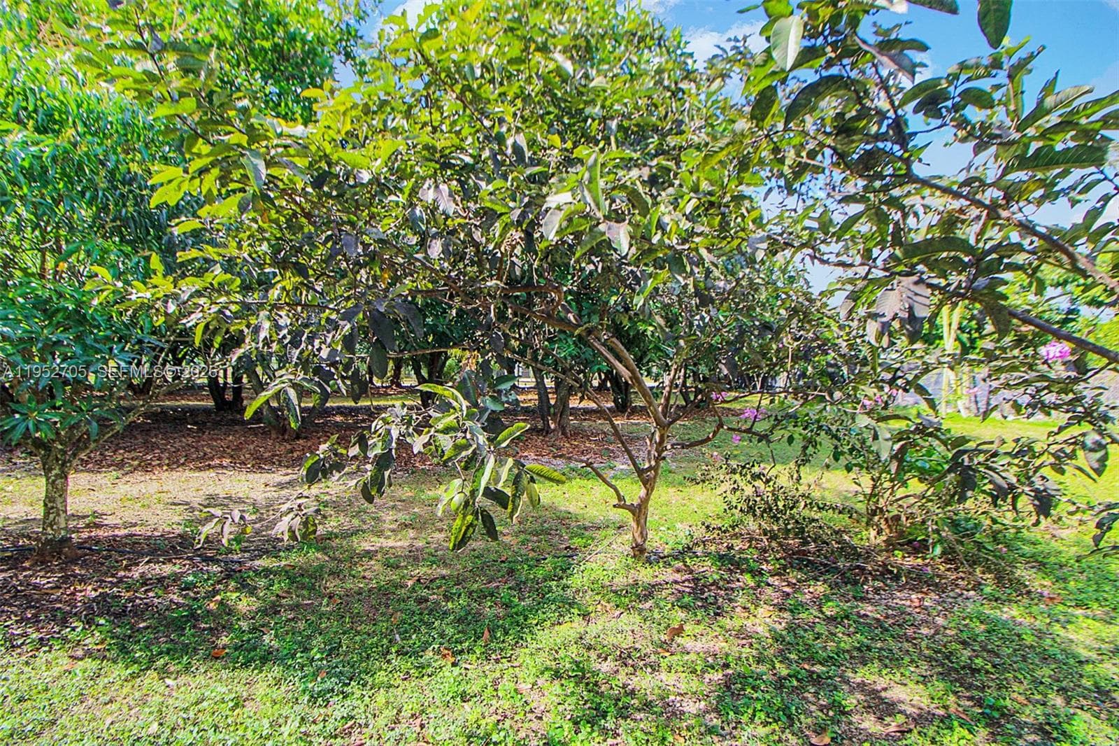 37225 SW 214th Ave, Homestead FL 33034 — 25