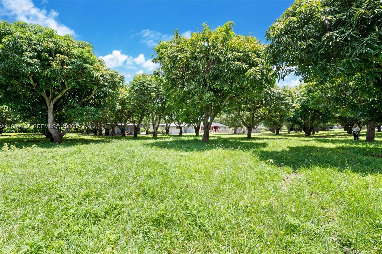 8000 SW 184th Str, Cutler Bay FL 33157 — 14