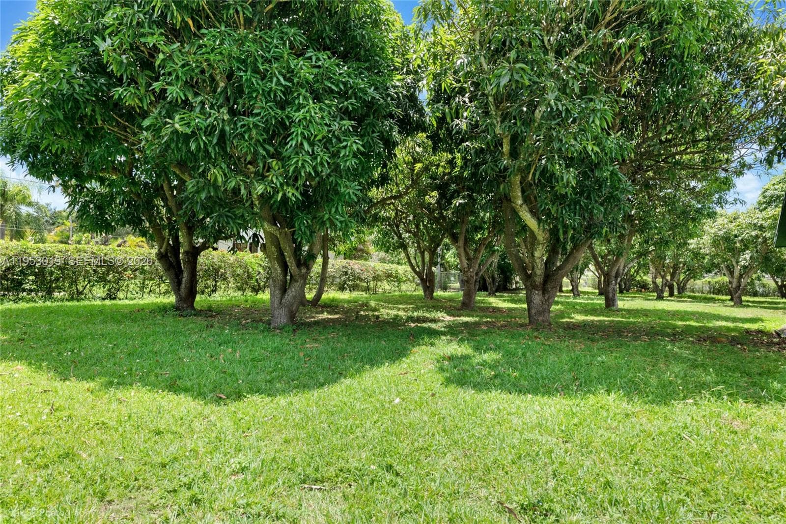 8000 SW 184th Str, Cutler Bay FL 33157 — 18