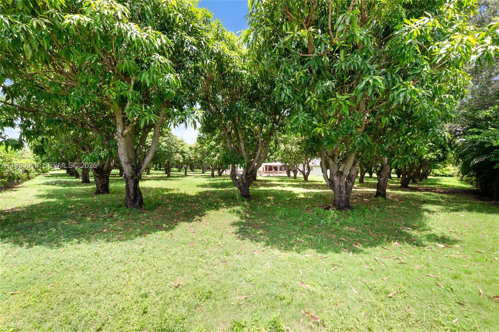 8000 SW 184th Str, Cutler Bay FL 33157 — 19
