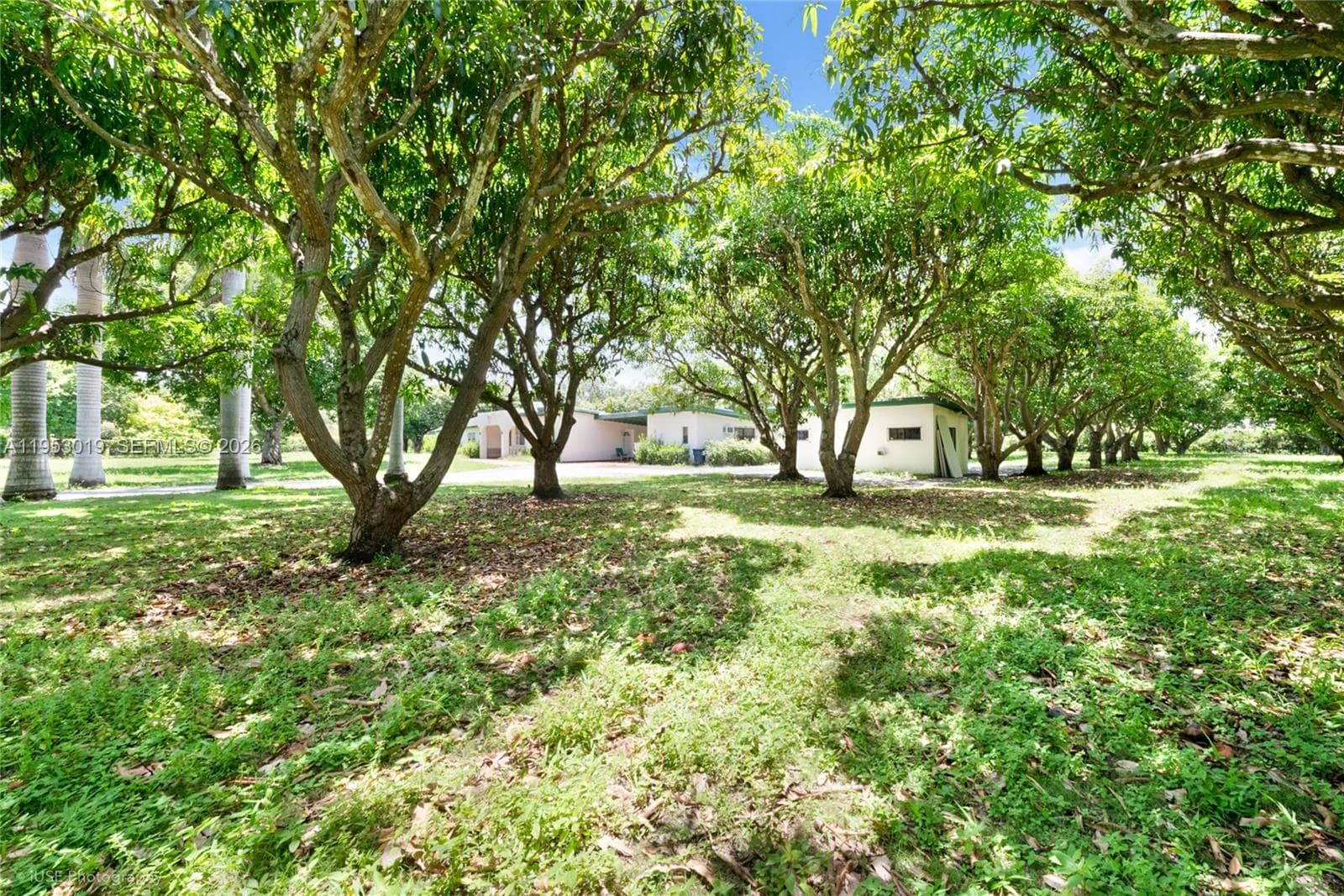 8000 SW 184th Str, Cutler Bay FL 33157 — 8