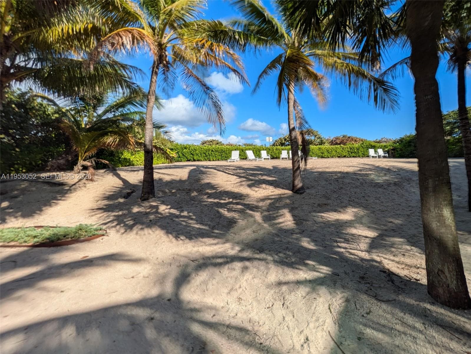 9341 Collins Ave # 503, Surfside FL 33154 — 30