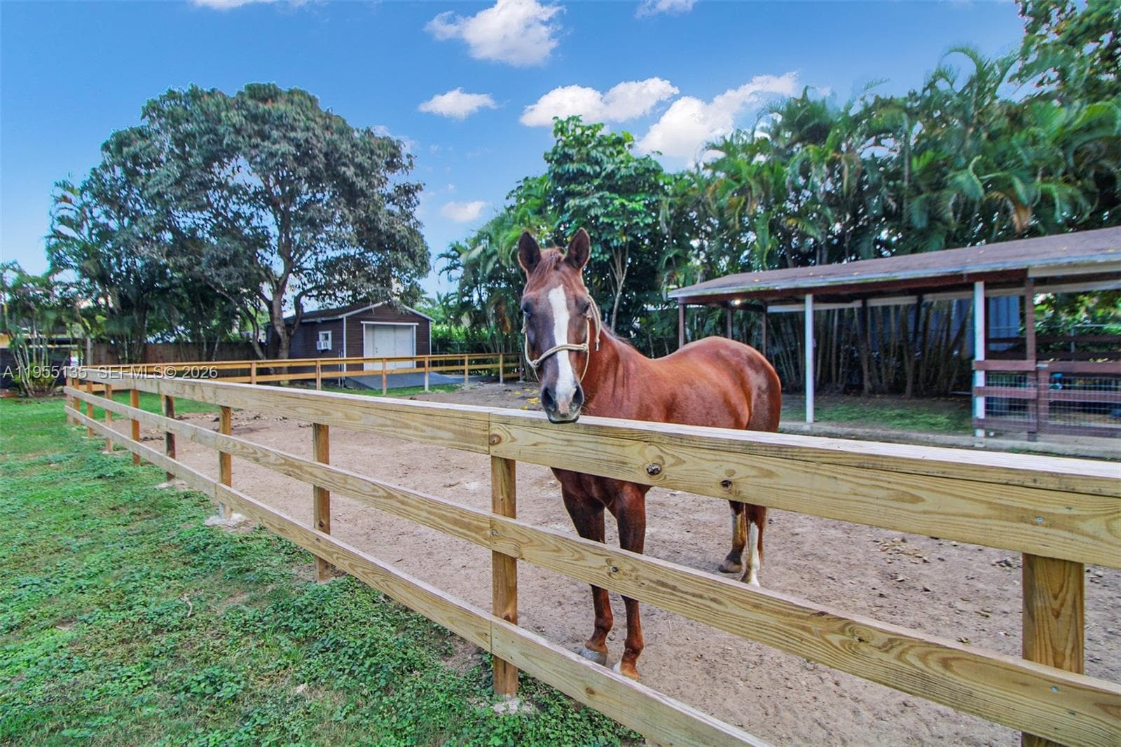 18280 SW 202nd St, Miami FL 33187 — 45