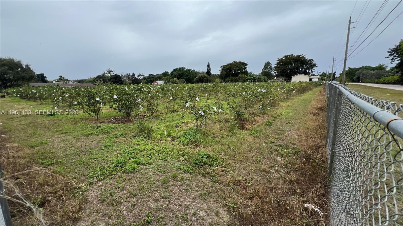 Unincorporated Dade County, FL — 12
