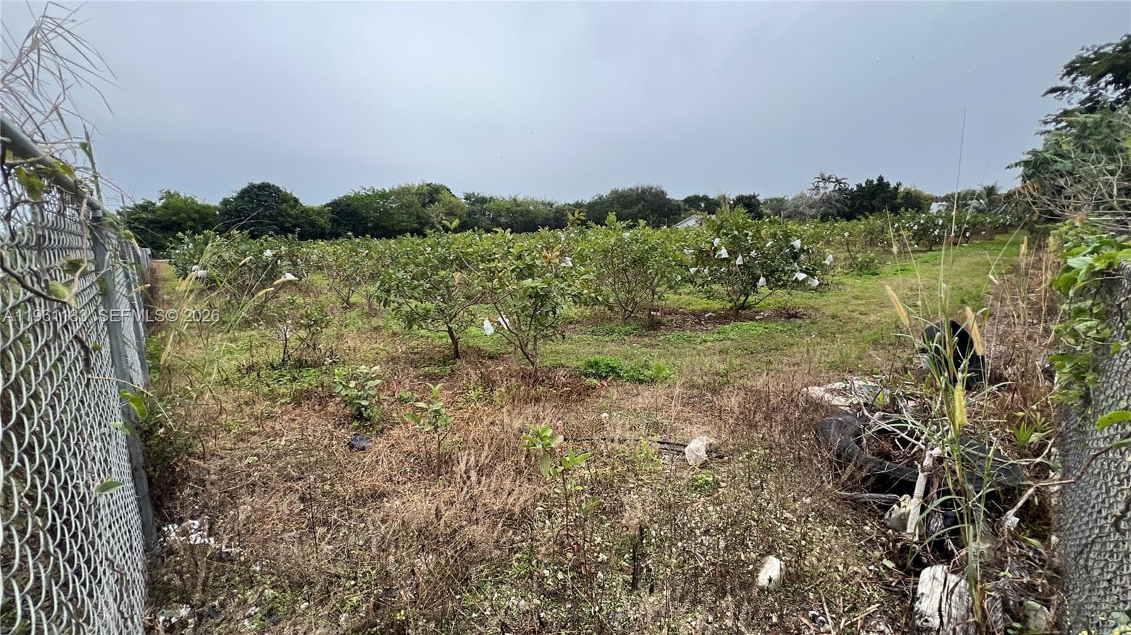 Unincorporated Dade County, FL — 20