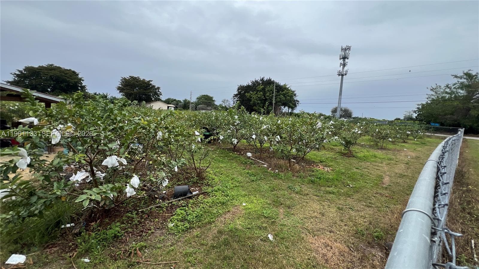 Unincorporated Dade County, FL — 10