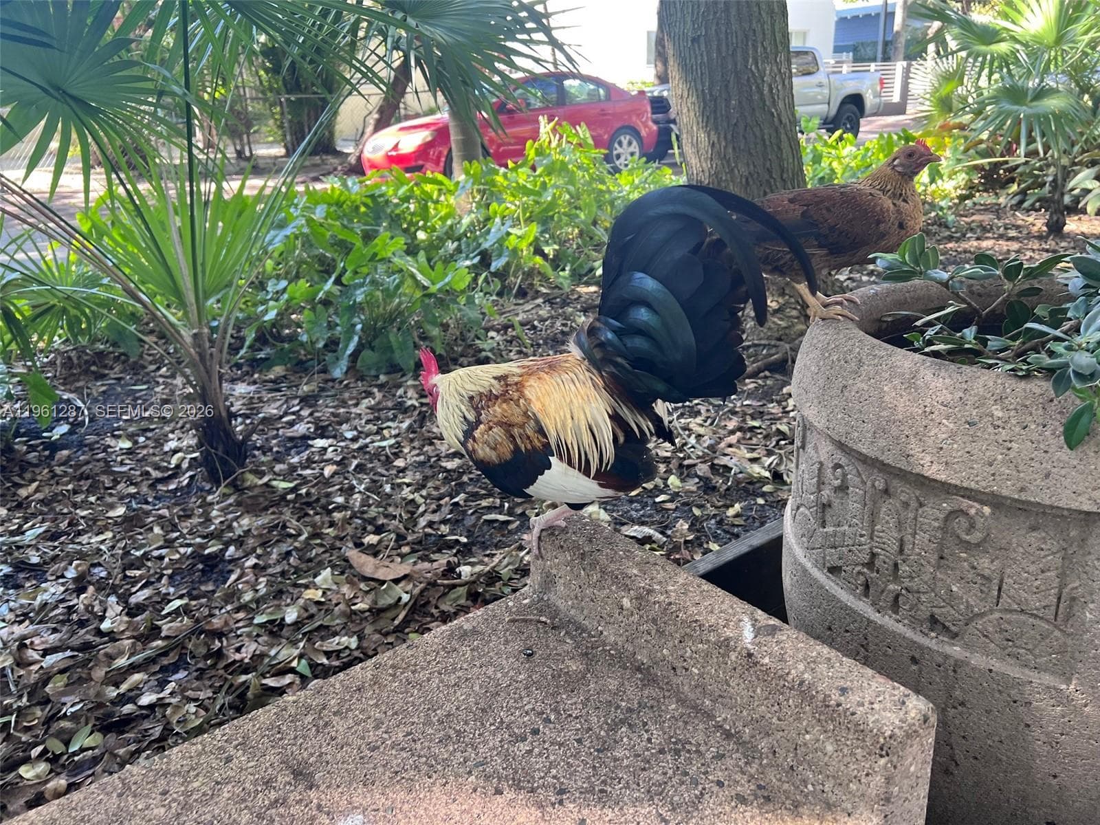 1305 SW 8th St, Miami FL 33135 — 35