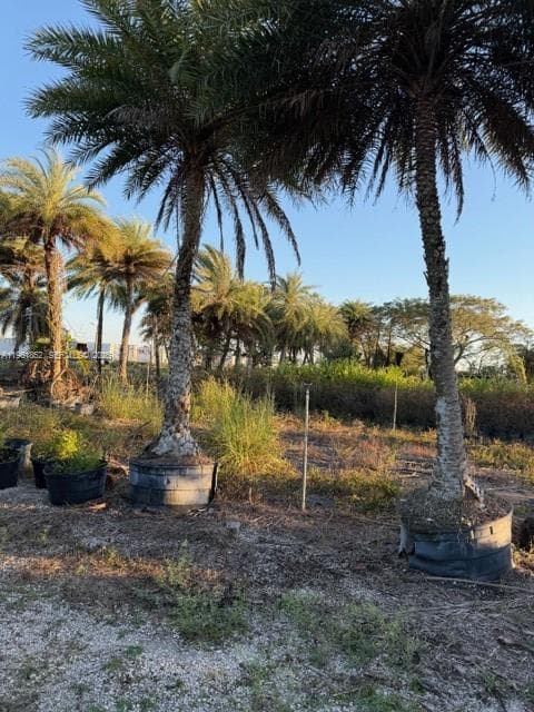 17450 SW 208th St, Miami FL 33187 — 2