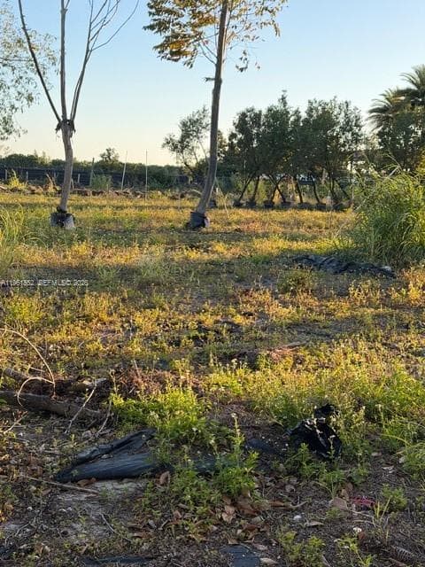 17450 SW 208th St, Miami FL 33187 — 10
