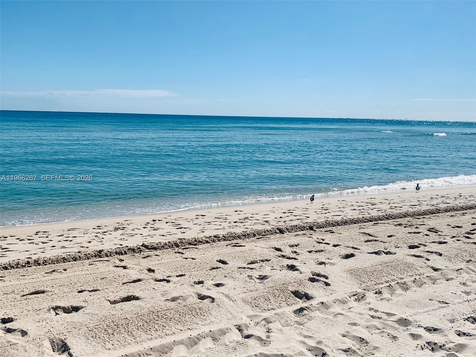 5757 Collins Ave # 1003, Miami Beach FL 33140 — 51