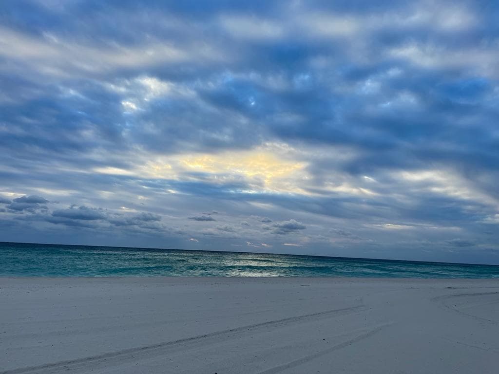 19201 Collins Avenue # 337, Sunny Isles Beach FL 33160 — 20