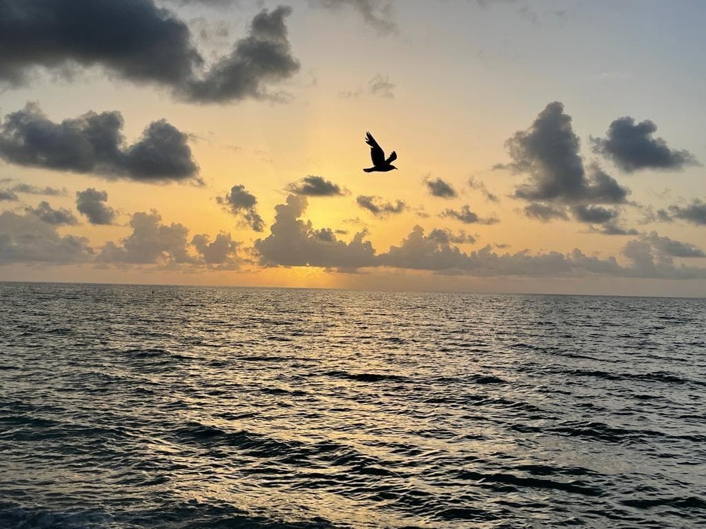 19201 Collins Avenue # 337, Sunny Isles Beach FL 33160 — 18