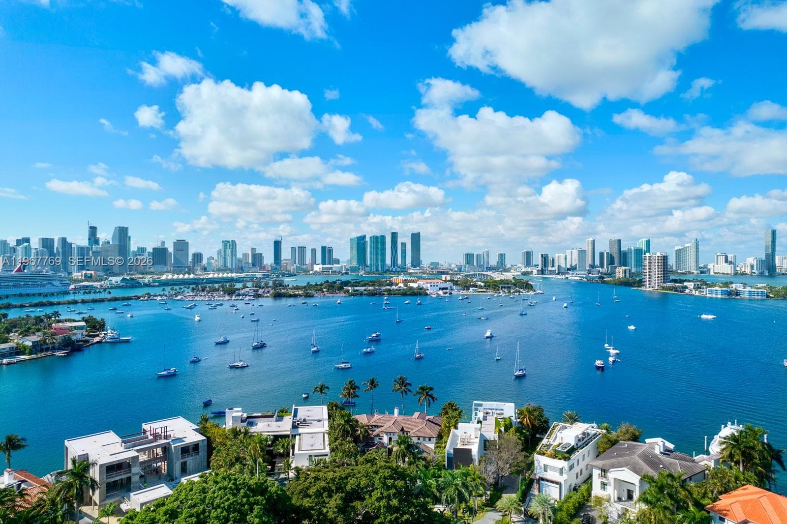 432 S Hibiscus Dr, Miami Beach FL 33139 — 53