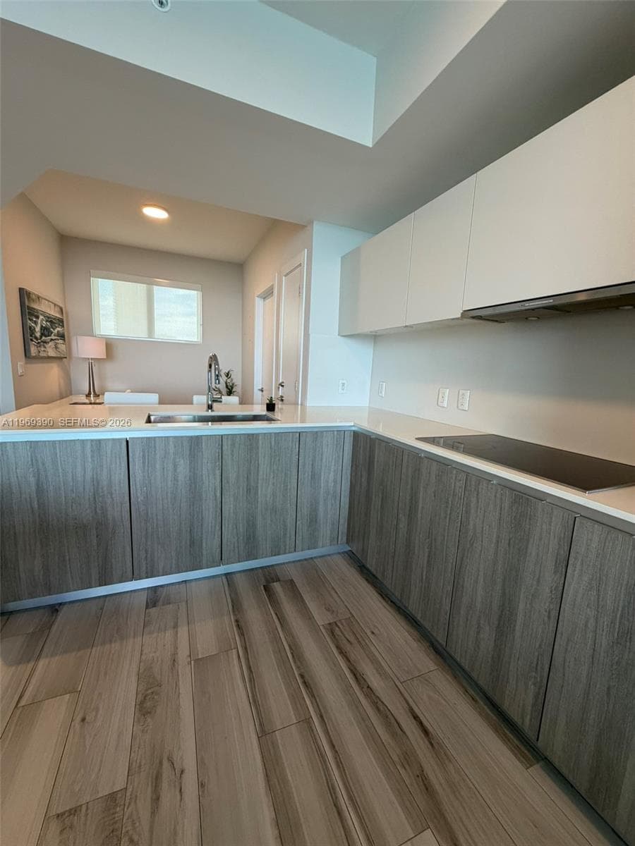 2900 NE 7th Ave # 1205, Miami FL 33137 — 18