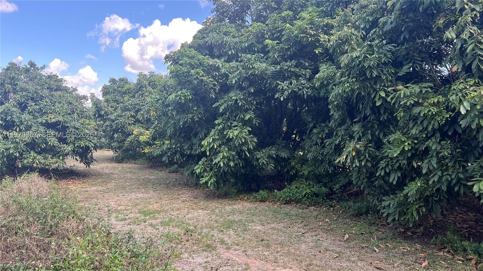 SW, Miami FL 33187 — 6