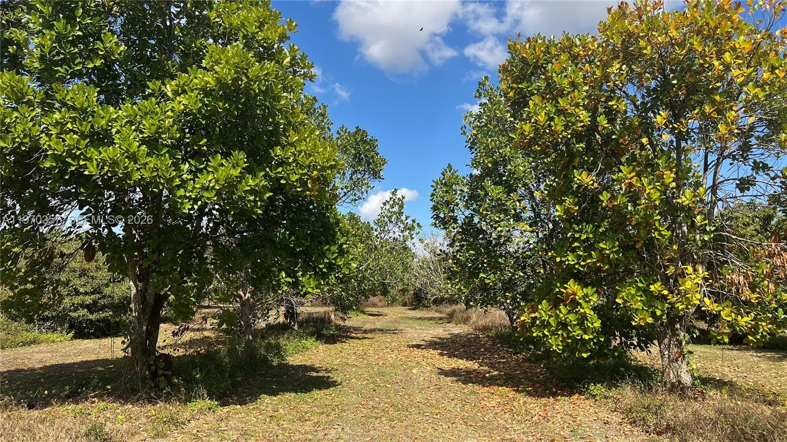 SW, Miami FL 33187 — 22