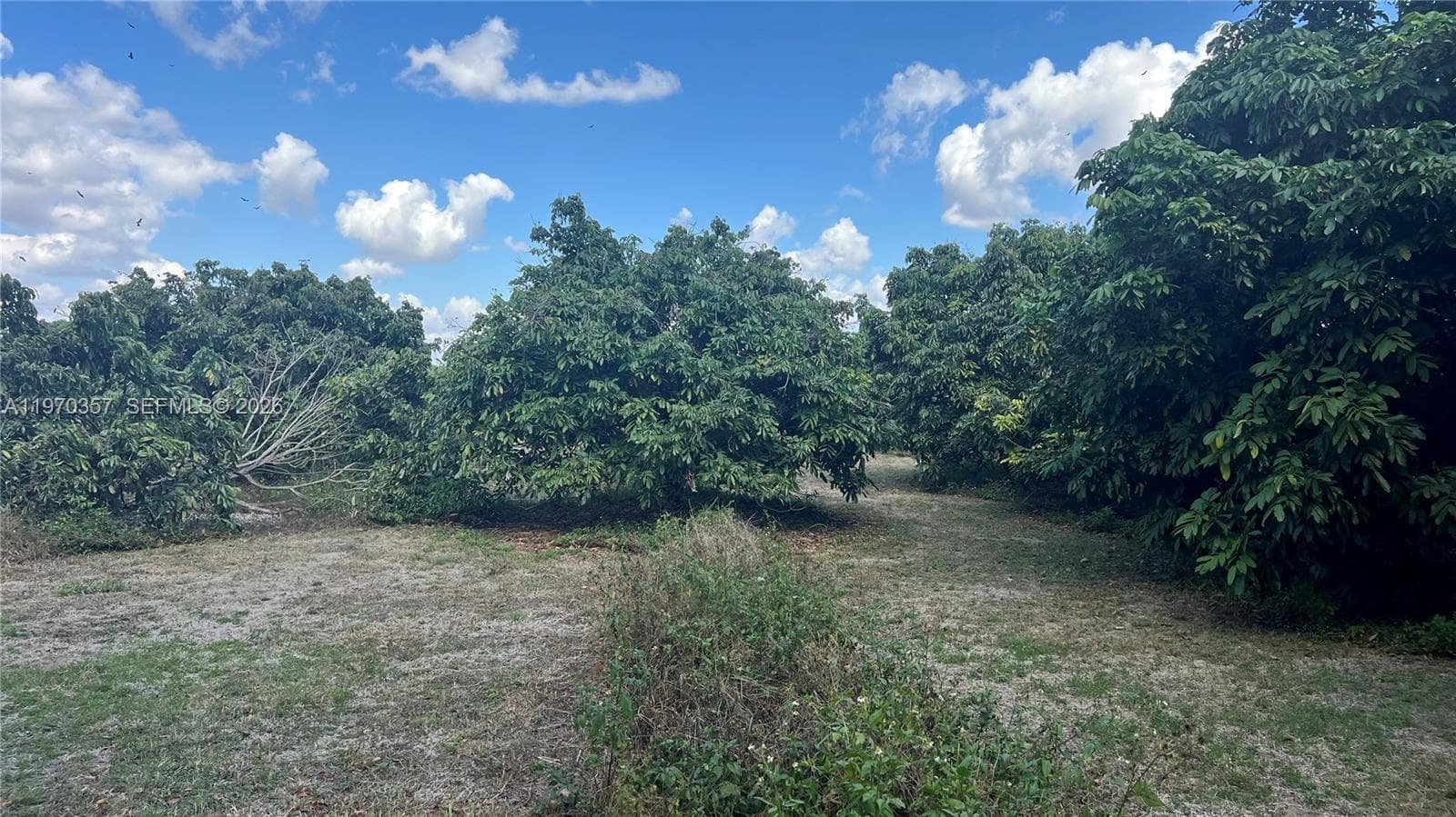 SW, Miami FL 33187 — 7