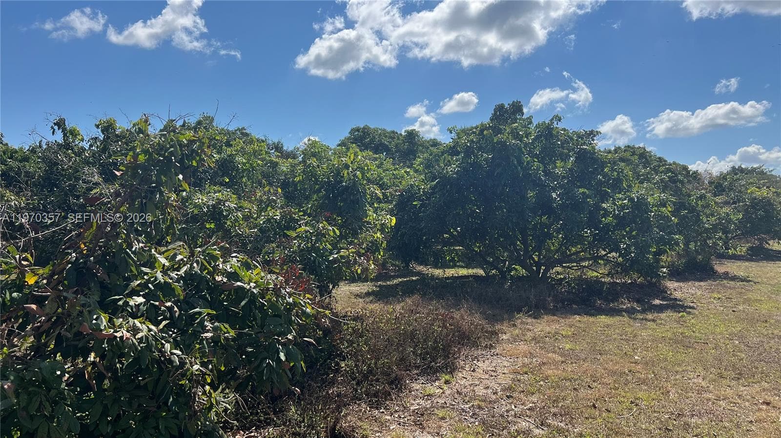 SW, Miami FL 33187 — 1