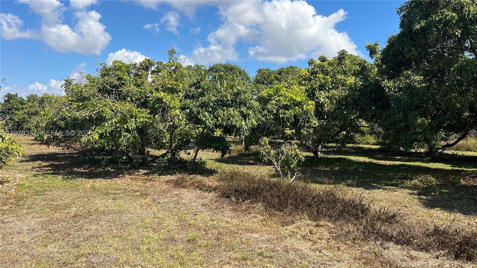 SW, Miami FL 33187 — 5