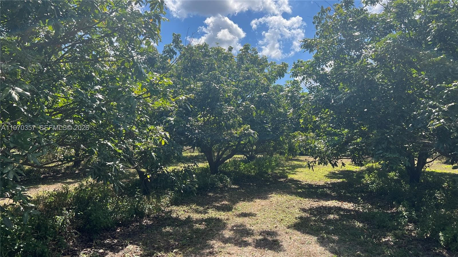 SW, Miami FL 33187 — 19