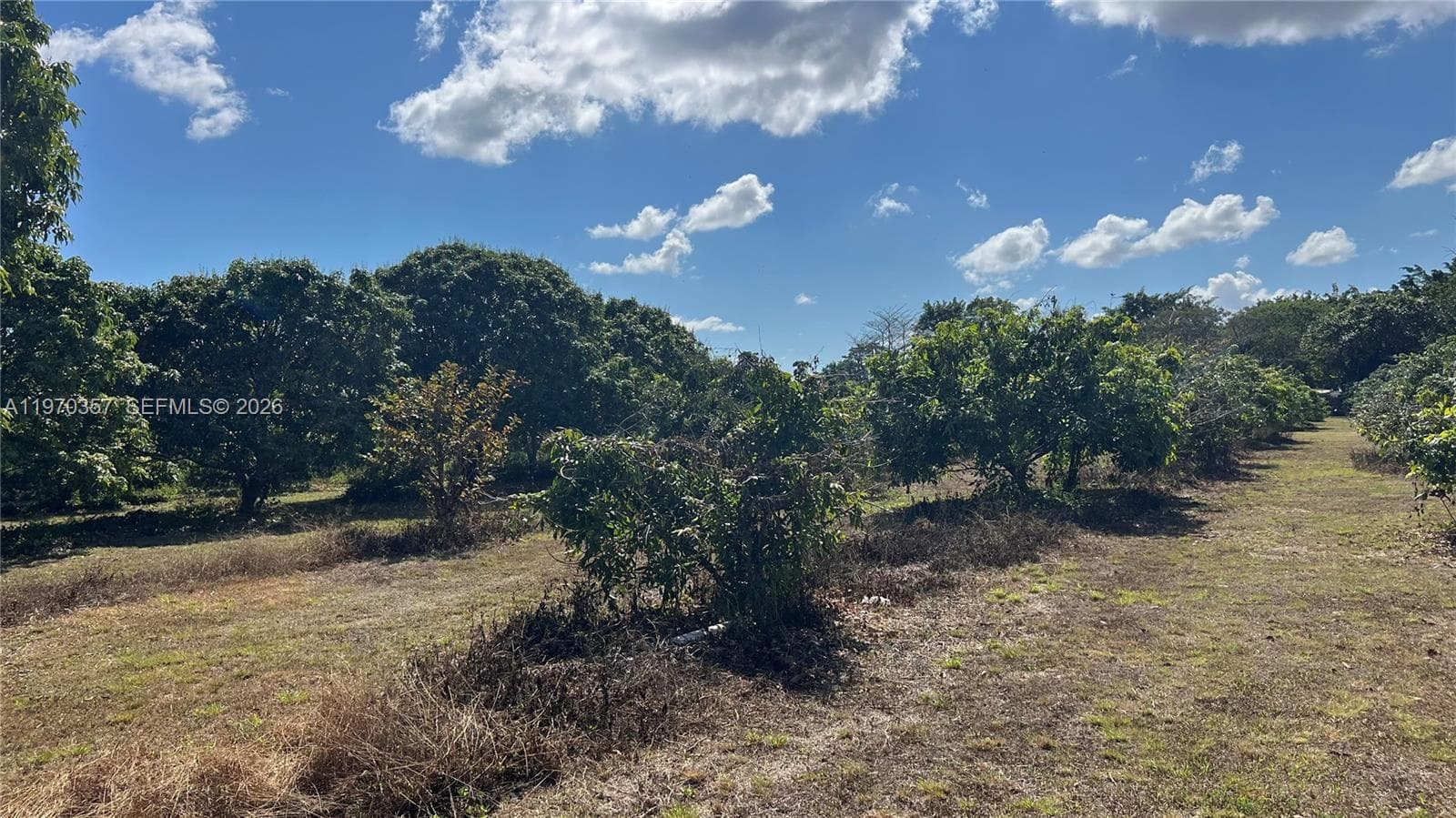 SW, Miami FL 33187 — 4
