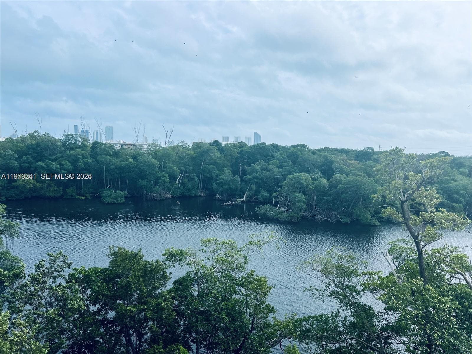 16385 Biscayne Blvd # 421, North Miami Beach FL 33160 — 4