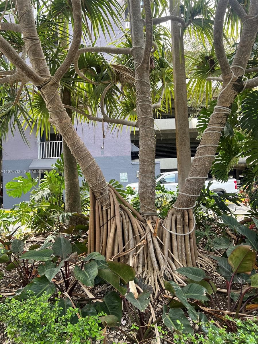 850 N Miami Ave # 1808, Miami FL 33136 — 35